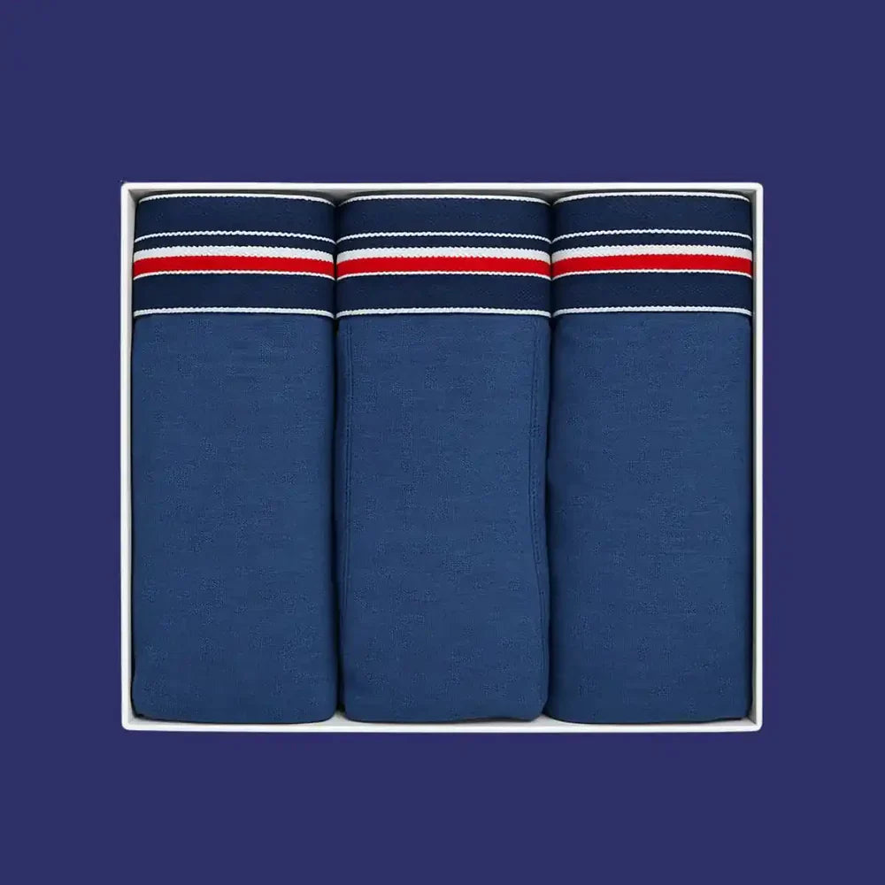 Cadeau coffret homme | Slip bleu marine - Slips homme PALÂBA