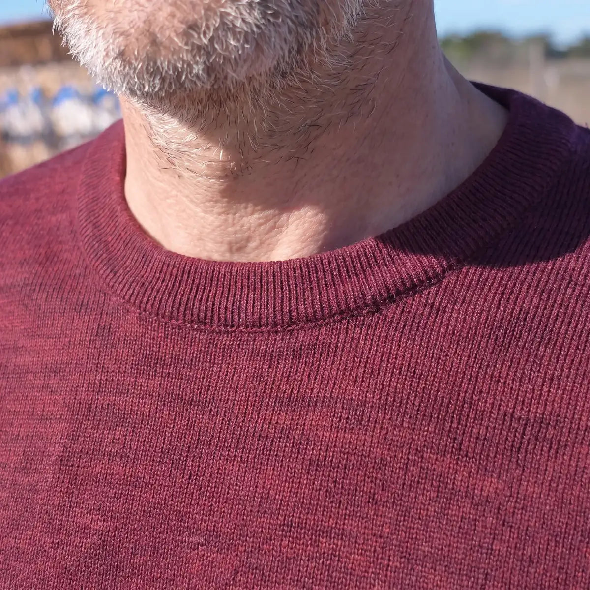 Col rond en bord-côte fin du pull bordeaux homme en laine mérinos, vue rapprochée – PALÂBA
